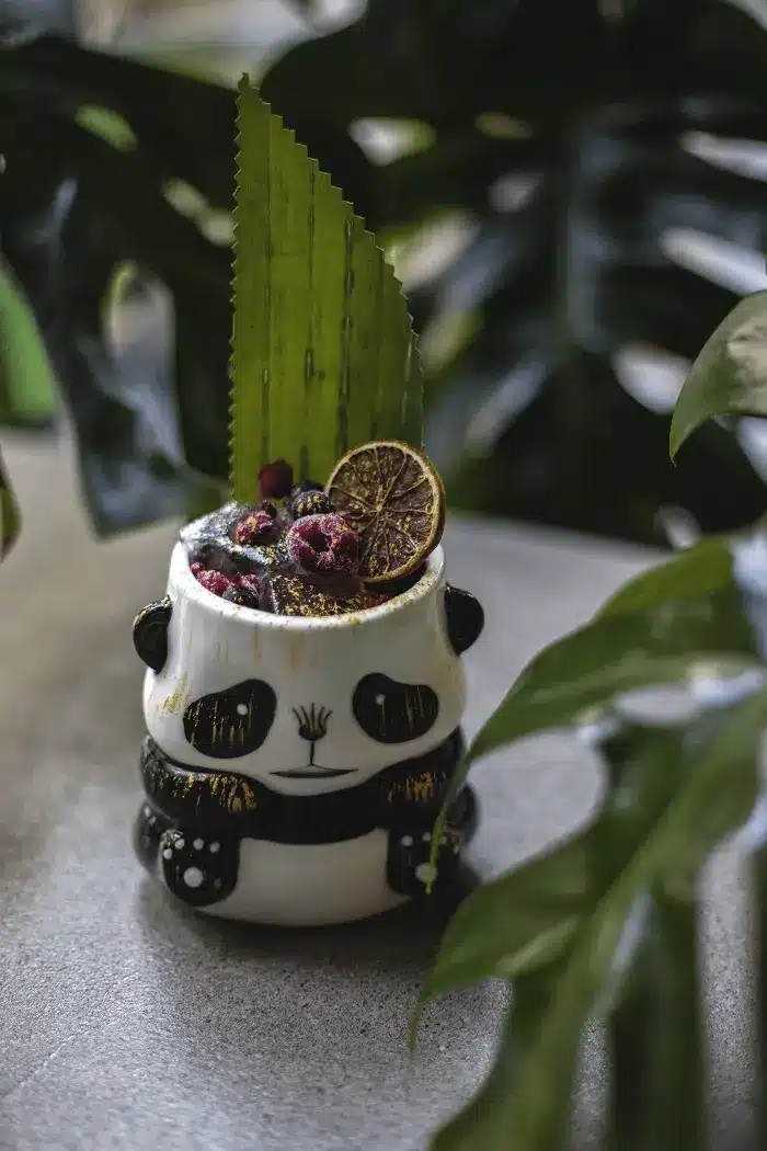 Cocktail im Panda-Becher mit getrockneter Orange und Beeren