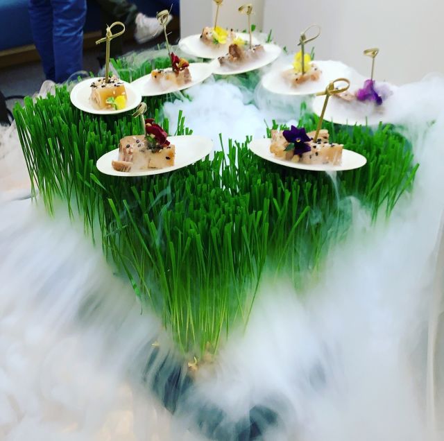 Vegan pork belly sous-vide on wheatgras ;--))))⁠
Book us for your Catering !⁠
⁠
#asianrestaurantstuttgart #banhmiandbubbles  #veganesrestaurantstuttgart #marcelwanek⁠
#banhmistuttgart #ramenstuttgart #eventlocationstuttgart