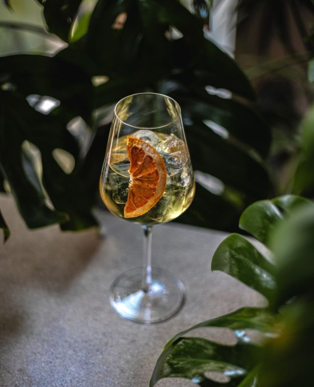 Berto Spritz⁠
Berto Aperitivo I sparkling wine I soda I dehydrate grapefruit ⁠
⁠
#asianrestaurantstuttgart #banhmiandbubbles  #veganesrestaurantstuttgart #marcelwanek⁠
#banhmistuttgart #ramenstuttgart #eventlocationstuttgart