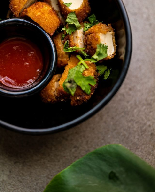 Crunchyyyyy Tofu with gochujang dip ⁠
⁠
#asianrestaurantstuttgart #banhmiandbubbles  #veganesrestaurantstuttgart #marcelwanek⁠
#banhmistuttgart #ramenstuttgart #eventlocationstuttgart